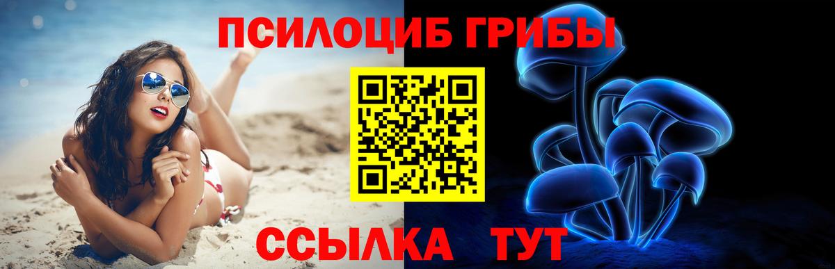 Псилоцибиновые грибы Magic Shrooms Старая Купавна